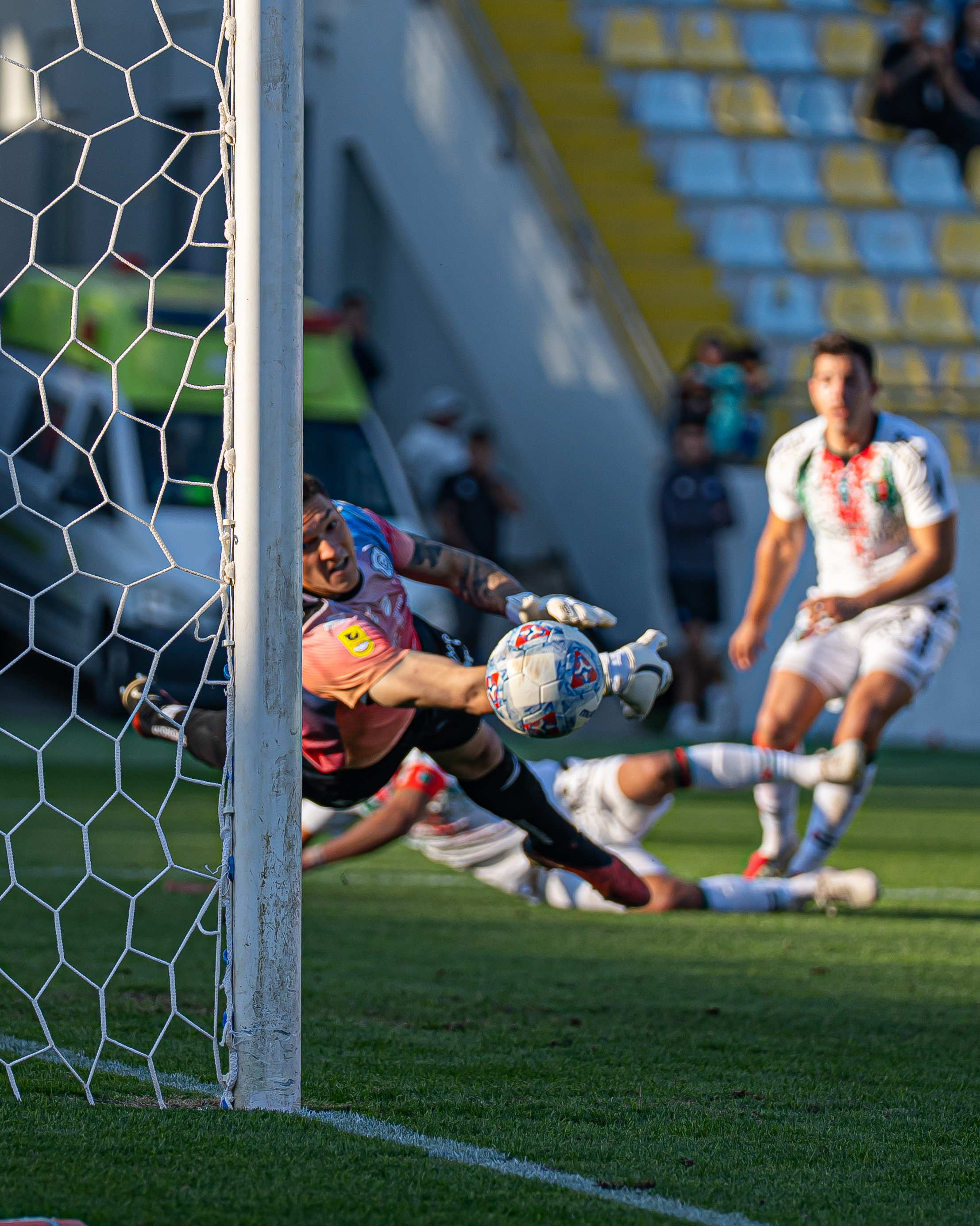 Everton vs Palestino