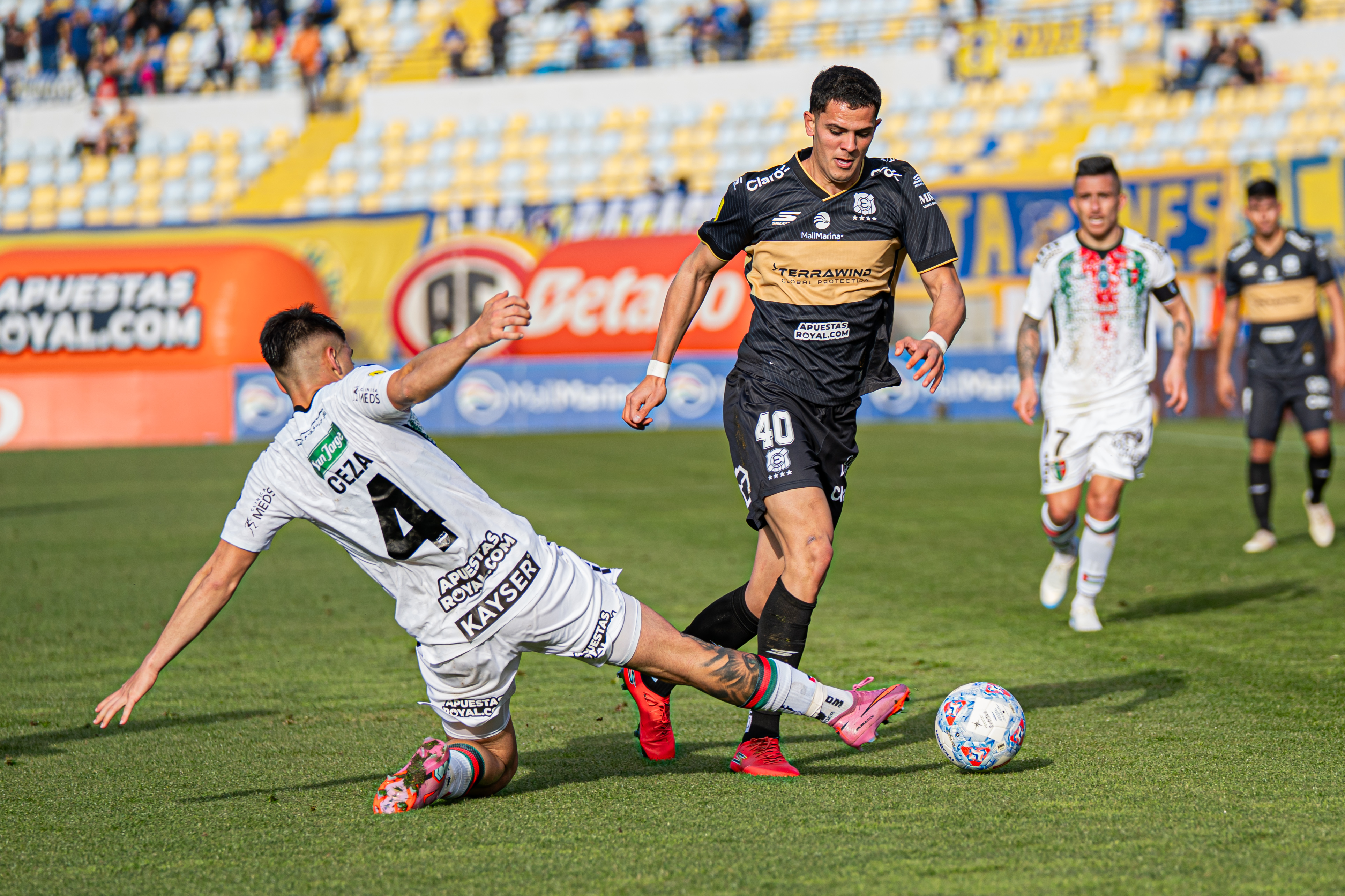 Everton vs Palestino